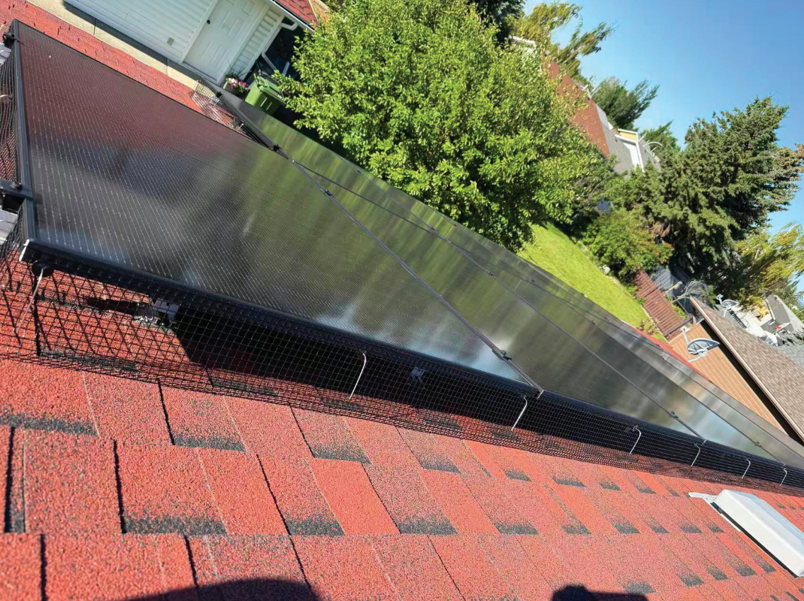 Bird protection around rooftop solar panels